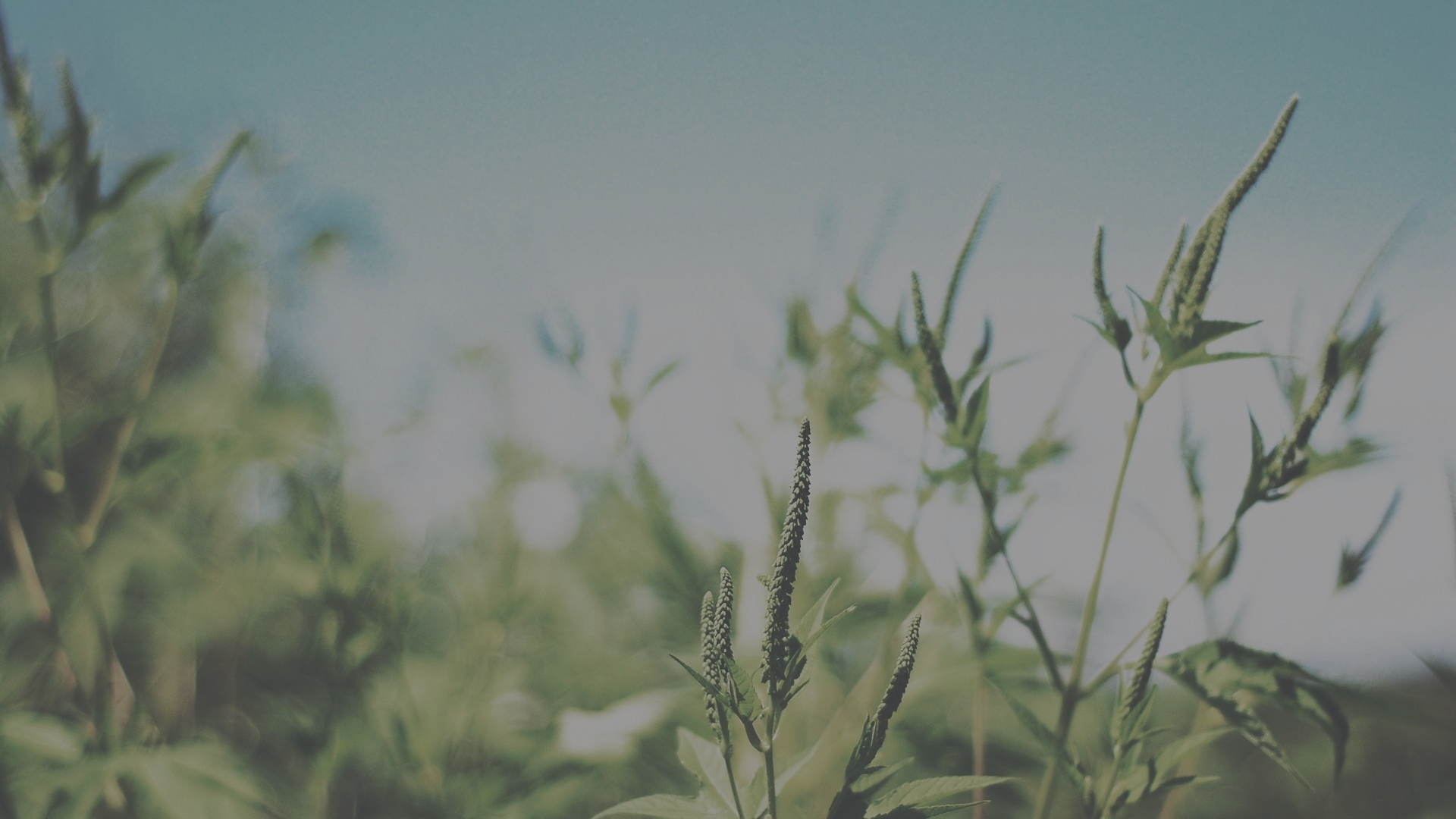 Performance Test Training (2)