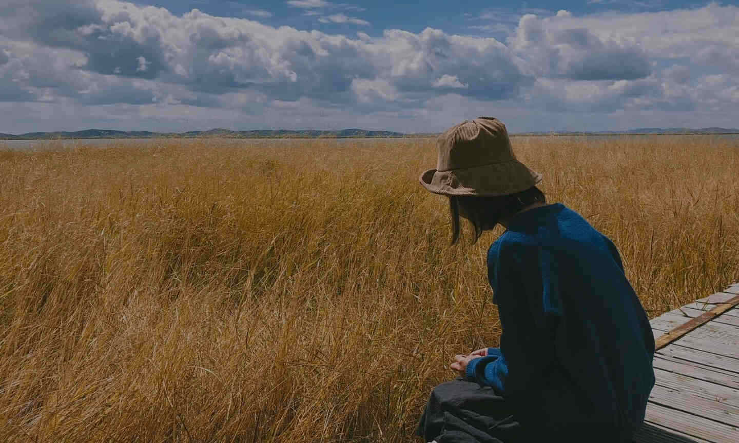 Software Test Categories