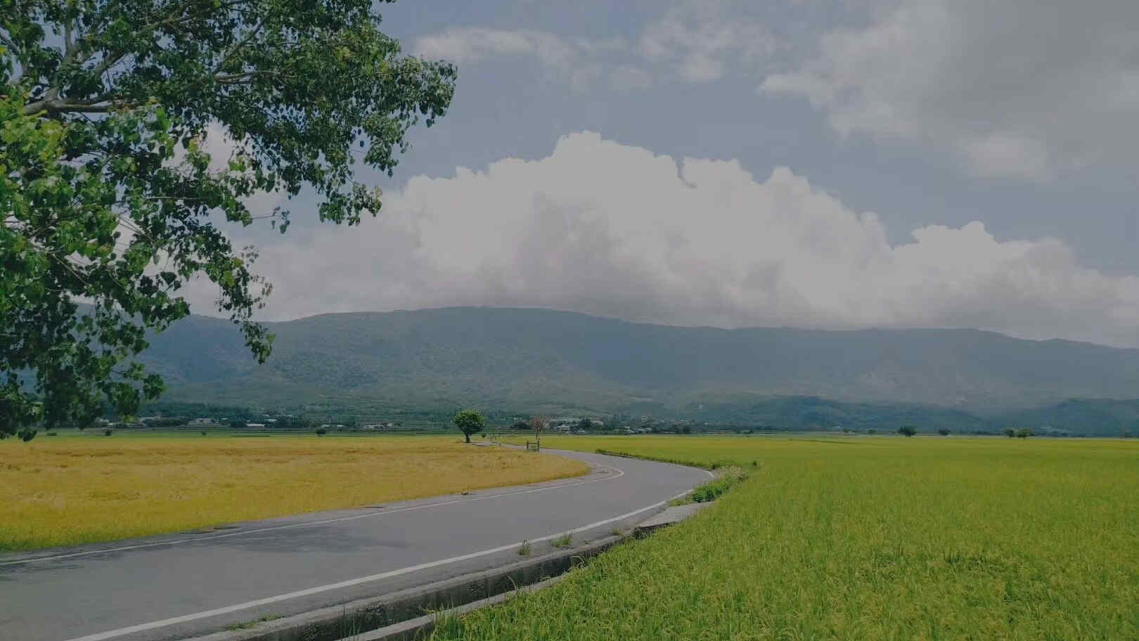 Design Patterns(Proxy)